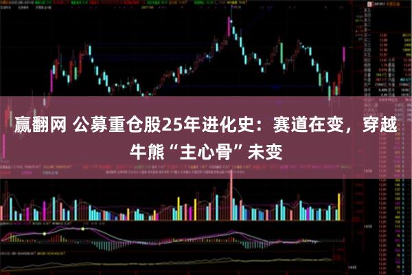 赢翻网 公募重仓股25年进化史：赛道在变，穿越牛熊“主心骨”未变