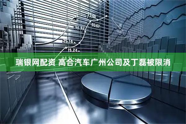 瑞银网配资 高合汽车广州公司及丁磊被限消