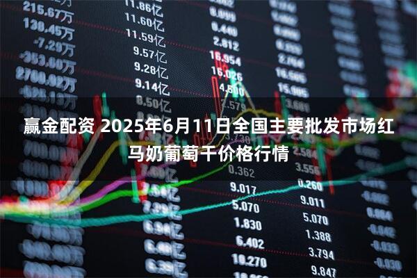 赢金配资 2025年6月11日全国主要批发市场红马奶葡萄干价格行情